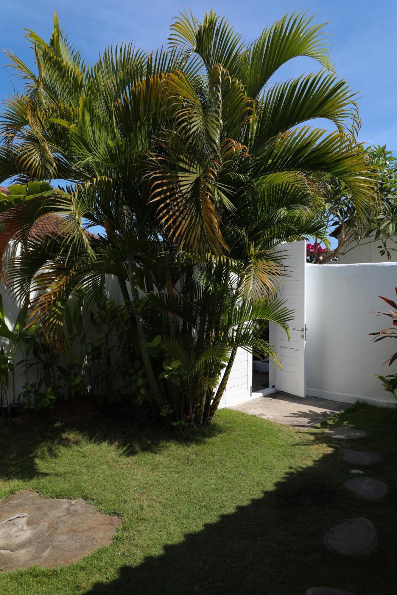 Villa Tom & Lucie Bingin Beach Улувату Экстерьер фото